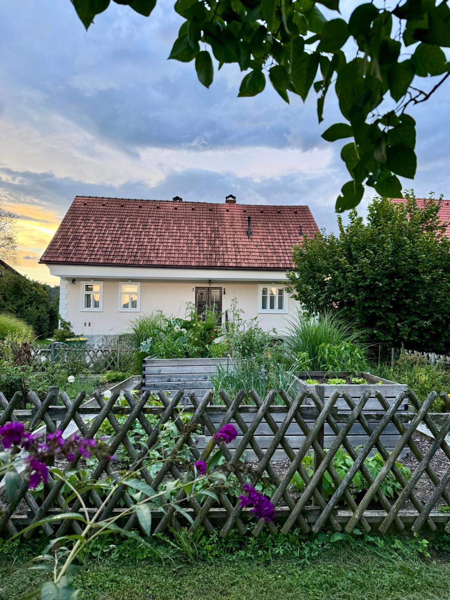 Homestead At Stefka'S Mokronog Экстерьер фото