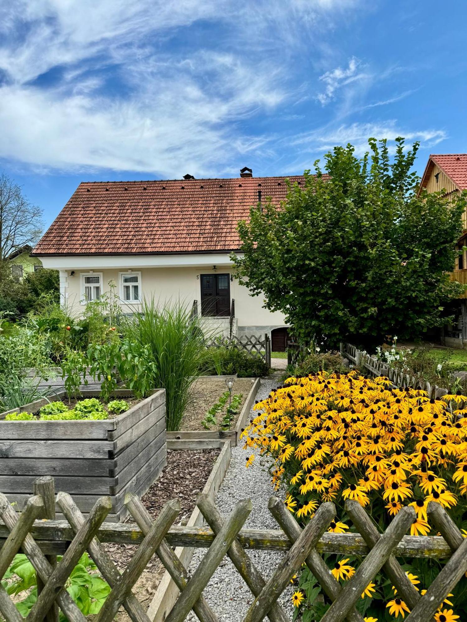 Homestead At Stefka'S Mokronog Экстерьер фото